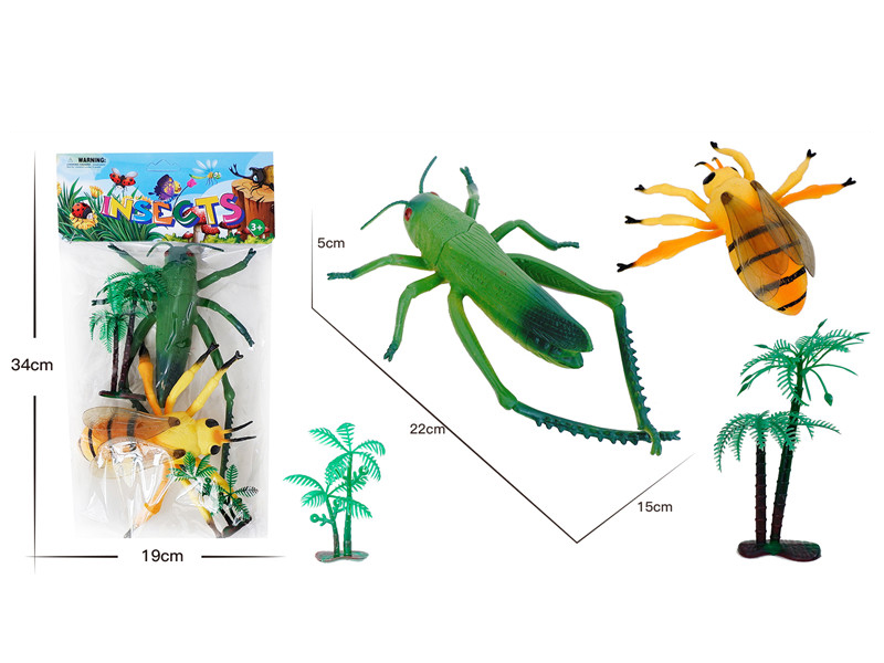 Insect Animal Set