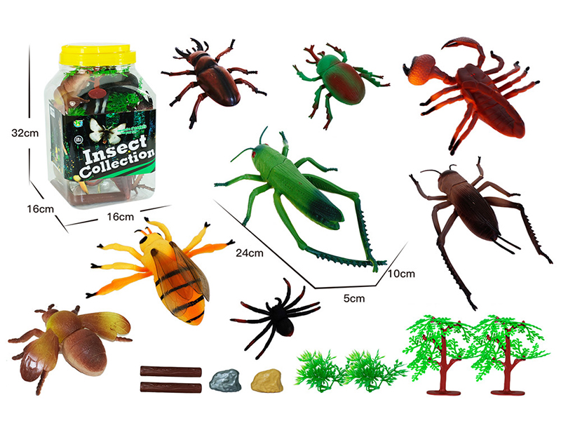 Insect Animal Set