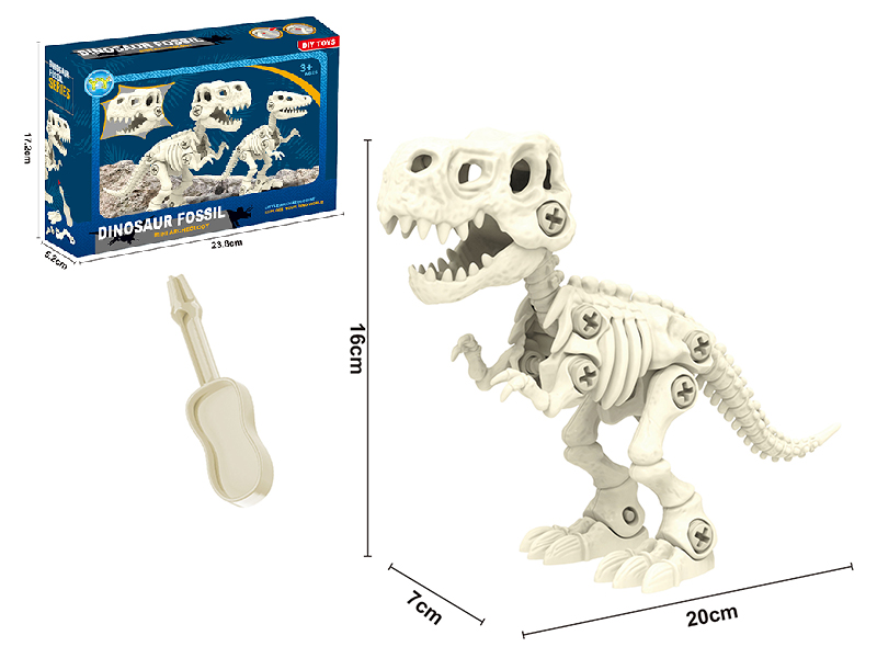 DIY Assembly Dinosaur Skeleton