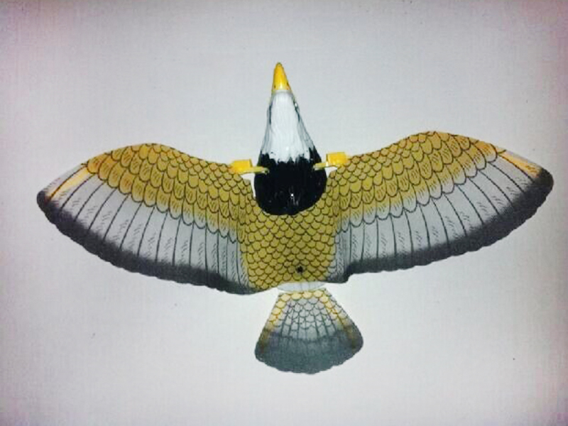 B/O Eagle With Light And Music