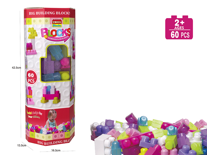 Pink Building Blocks(60PCS)
