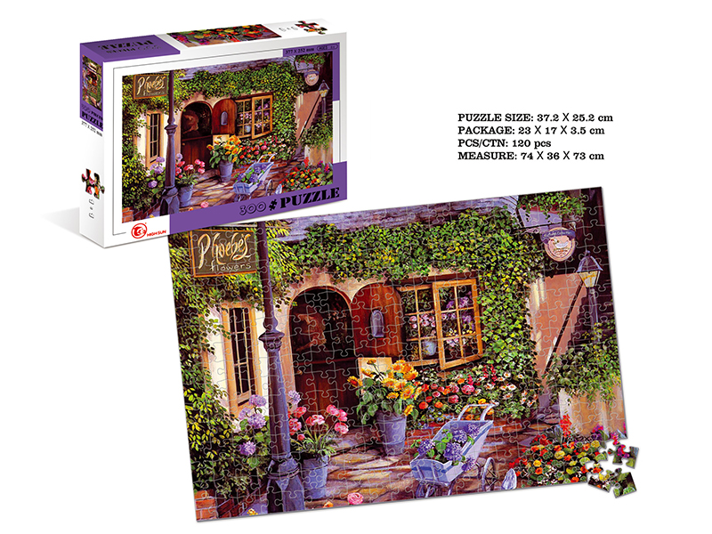 300pcs Puzzle