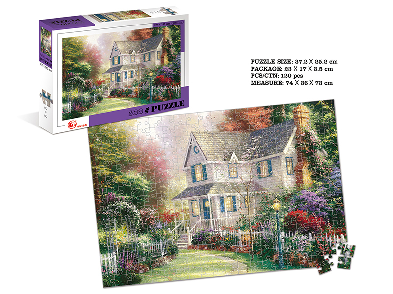 300pcs Puzzle