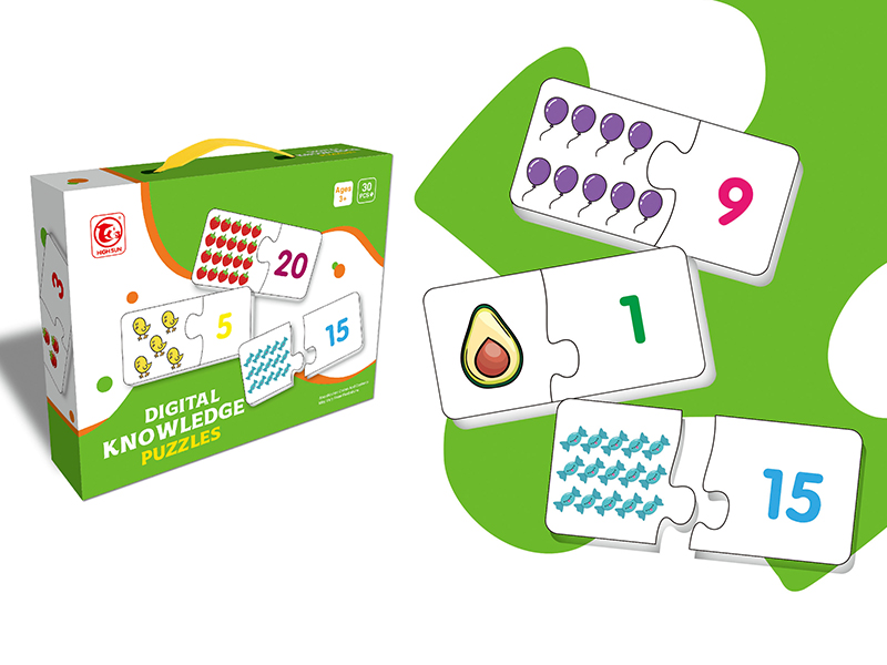 Number Matching Puzzle
