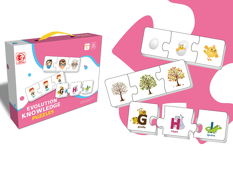 Evolution Knowledge Matching Puzzle