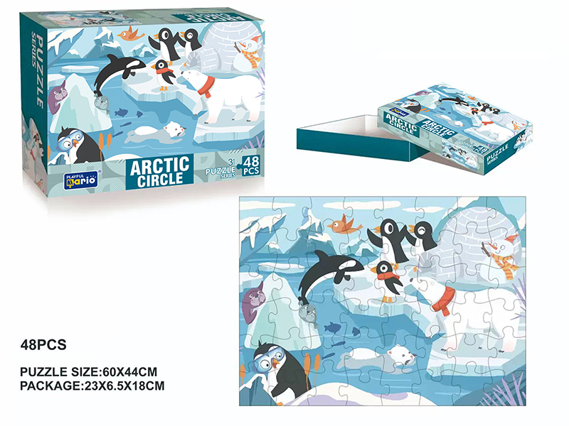 Arctic Circle Jigsaw Puzzle 48pcs