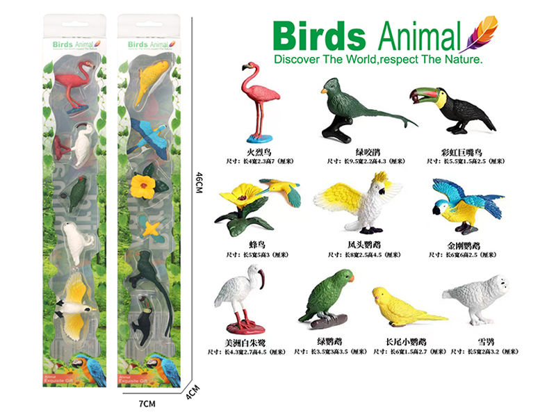 Mini Bird Toy Set