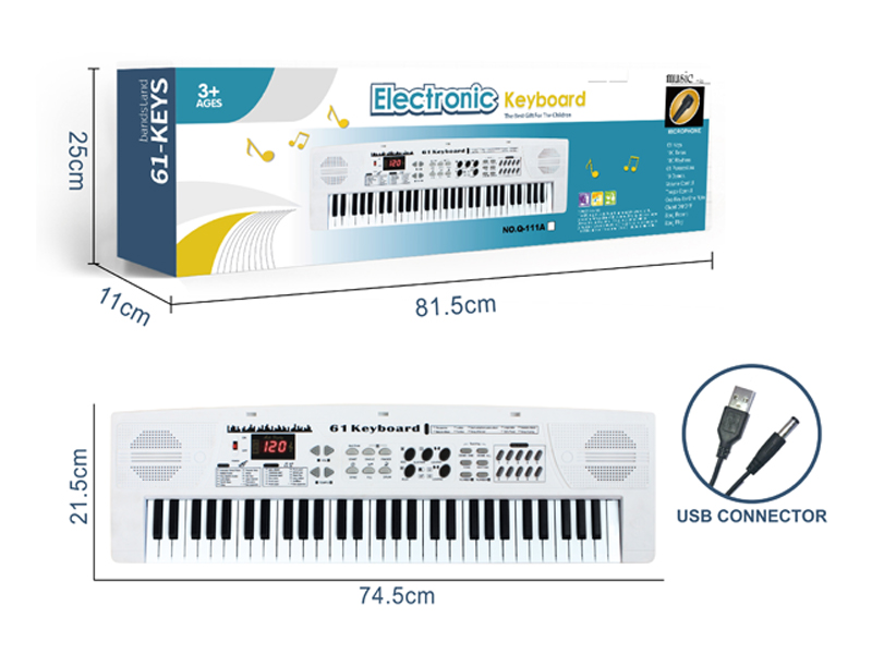 61 Key Multi-Function Electronic Organ