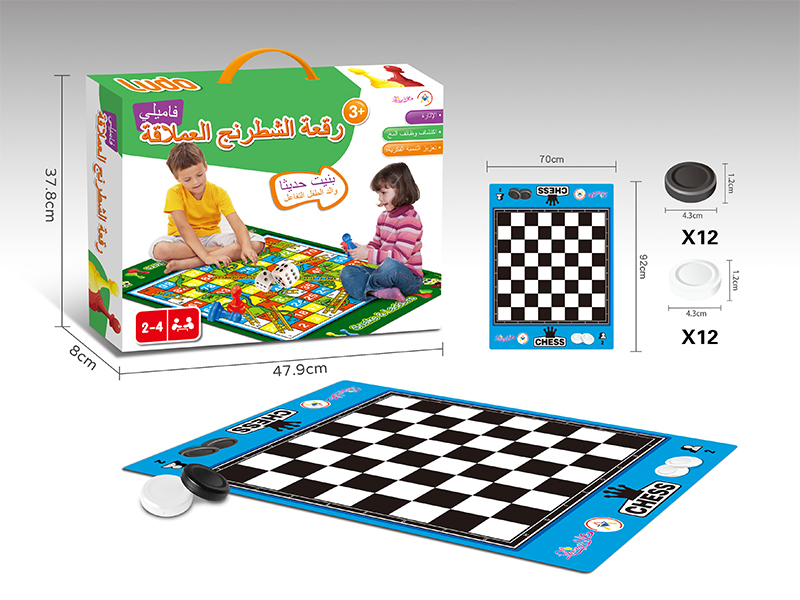 Black And White Chess/Cloth Chessboard