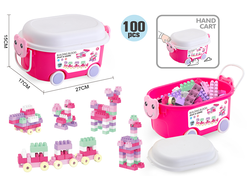 Girls Building Blocks (100PCS)
