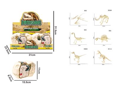 Dinosaur Skeleton Head Storage Box (6 Types Of Dinosaur Skeleton)