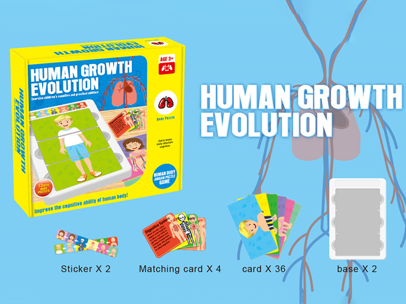 Human Growth Evolution - Board Game