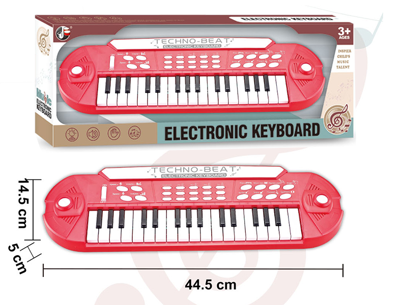Electronic Organ