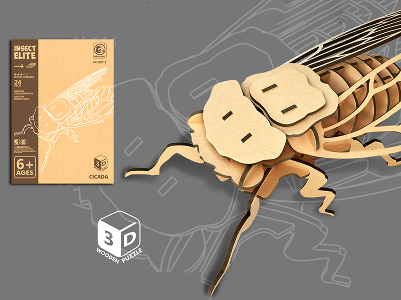 3D Wooden Puzzle - Cicada
