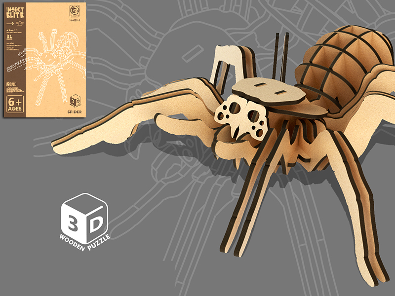 3D Wooden Puzzle - Spider