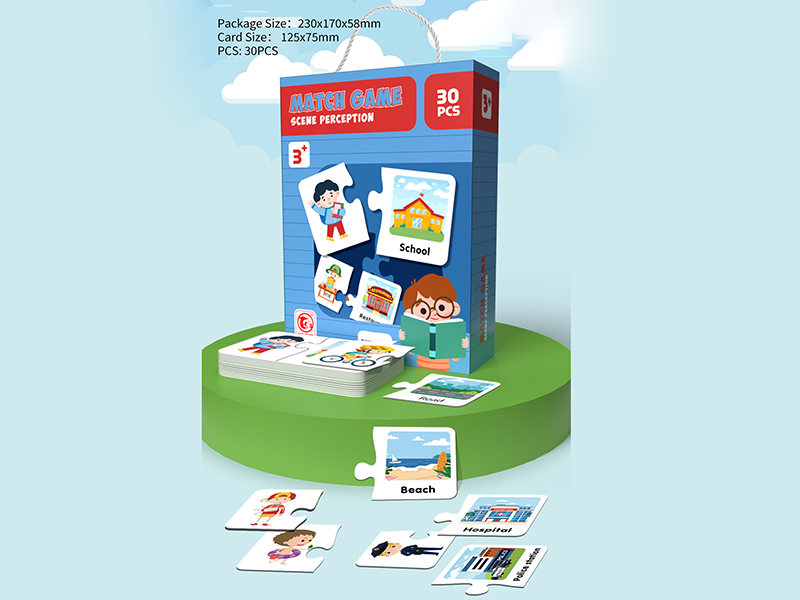 Scene Perception Matching Puzzles 30pcs