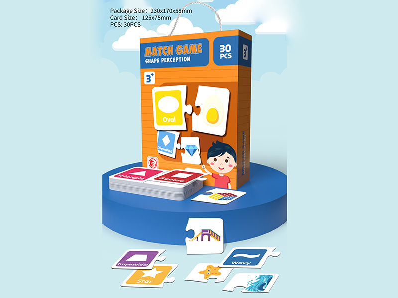 Shape Cognition Matching Puzzles 30pcs