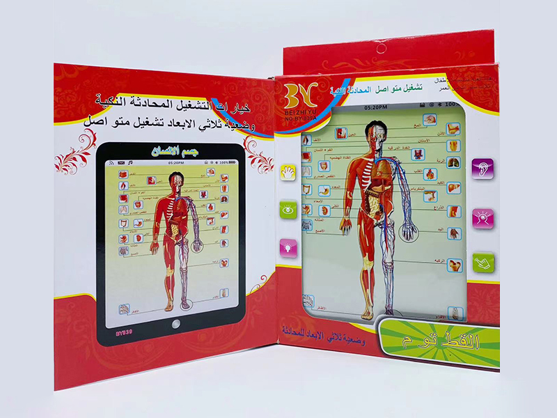 Arabic Human Organ Cognition Learning Machine