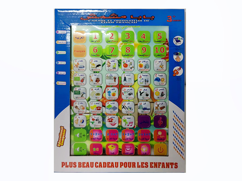 French and Arabic Bilingual Learning Machine