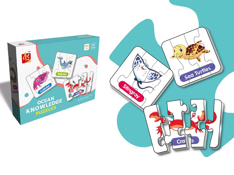 Ocean Knowledge Matching Puzzle 60pcs