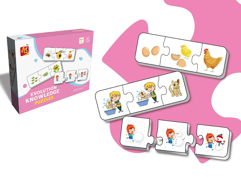 Evolution Knowledge Matching Puzzles 60pcs