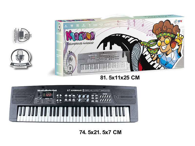 61 Keys Multifunctional Electronic Organ With Digital, USB Cable, Microphone (Black)