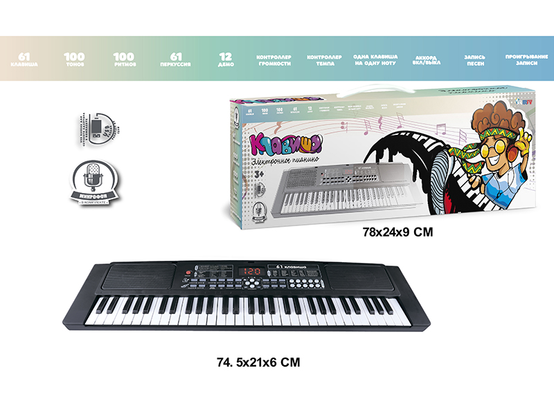 61 Keys Multifunctional Electronic Organ With Digital, USB Cable, Microphone (Black)