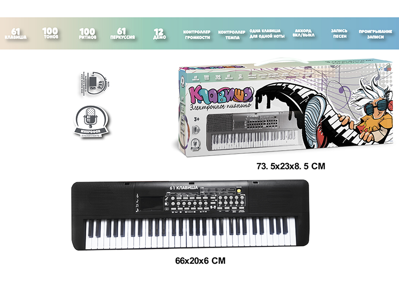 61 Keys Multifunctional Electronic Organ With Digital, USB Cable, Microphone (Black)