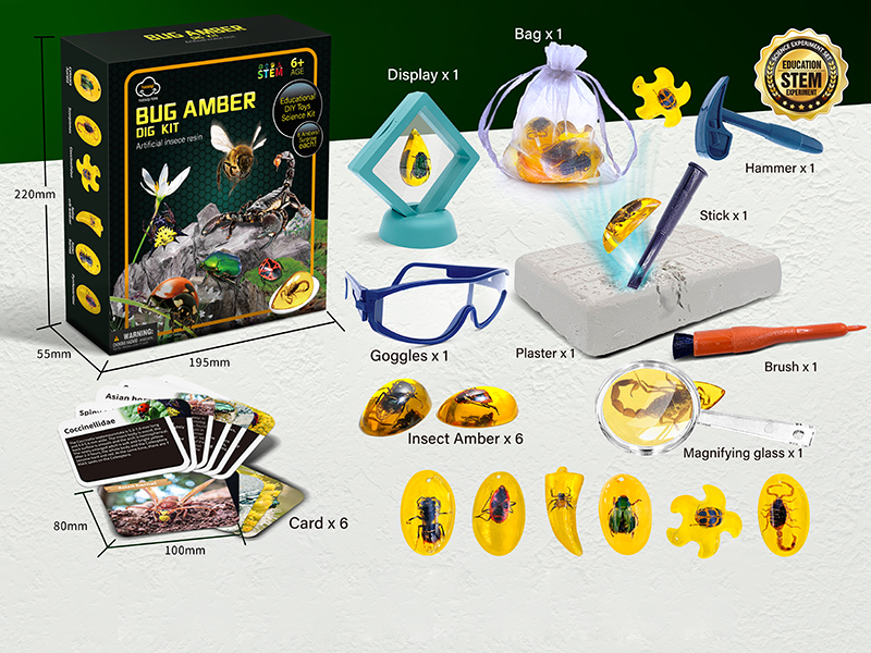 Insect Amber Archaeology Dig Set