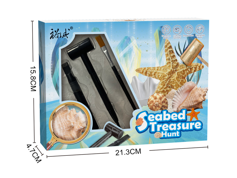 Archaeological Shell Toy Set