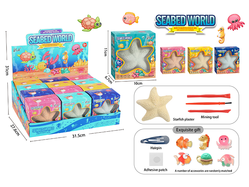 12PCS Starfish Excavate Archaeological Toy
