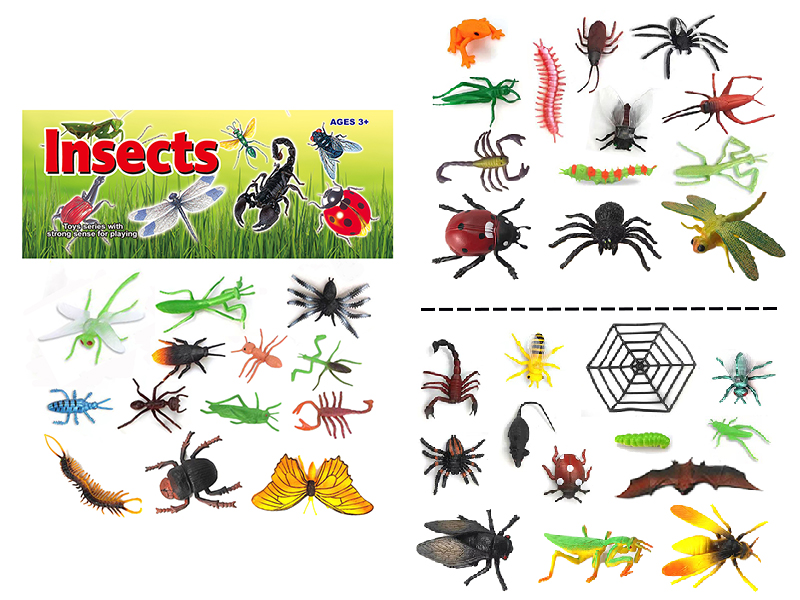 Insects Set