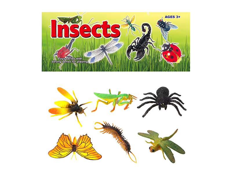 Insects Set