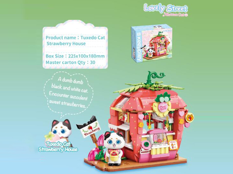 350Pcs Colorful Street View Building Blocks