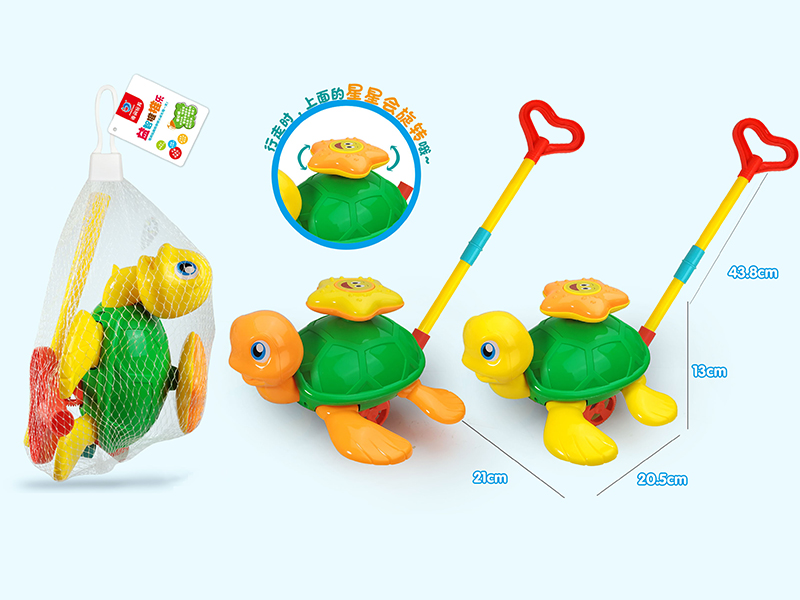 Hand Push Turtle Toy