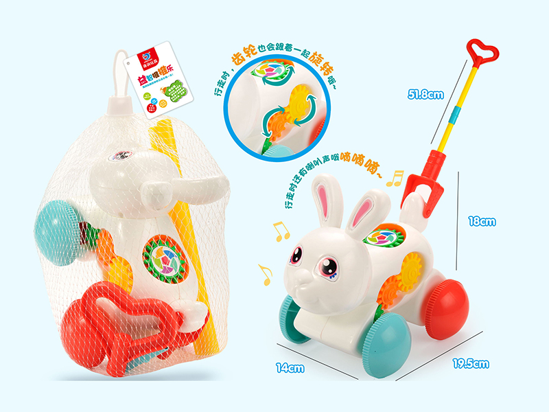 Hand Push Rabbit Toy