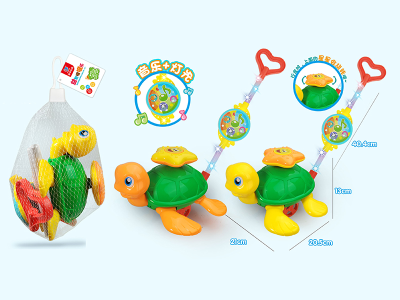 Hand Push Turtle Toy(Light & Music)