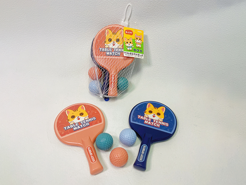 Table Tennis Set