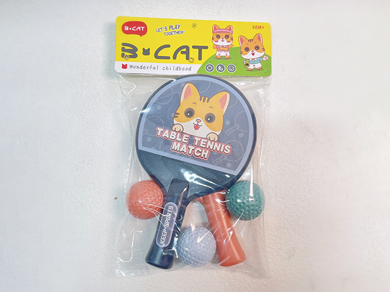 Table Tennis Set