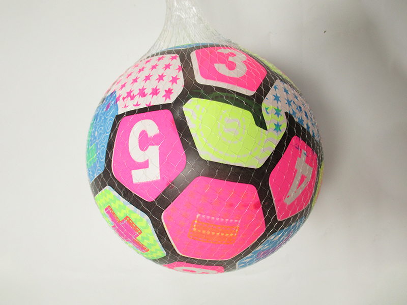 9 Inch Colorful Ball Toy