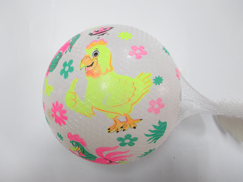 9 Inch Colorful Ball Toy