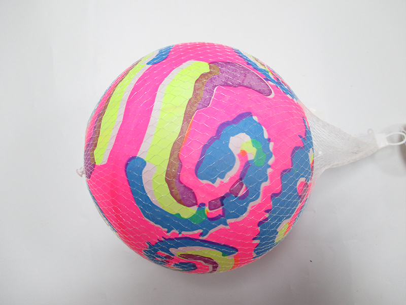 9 Inch Colorful Ball Toy