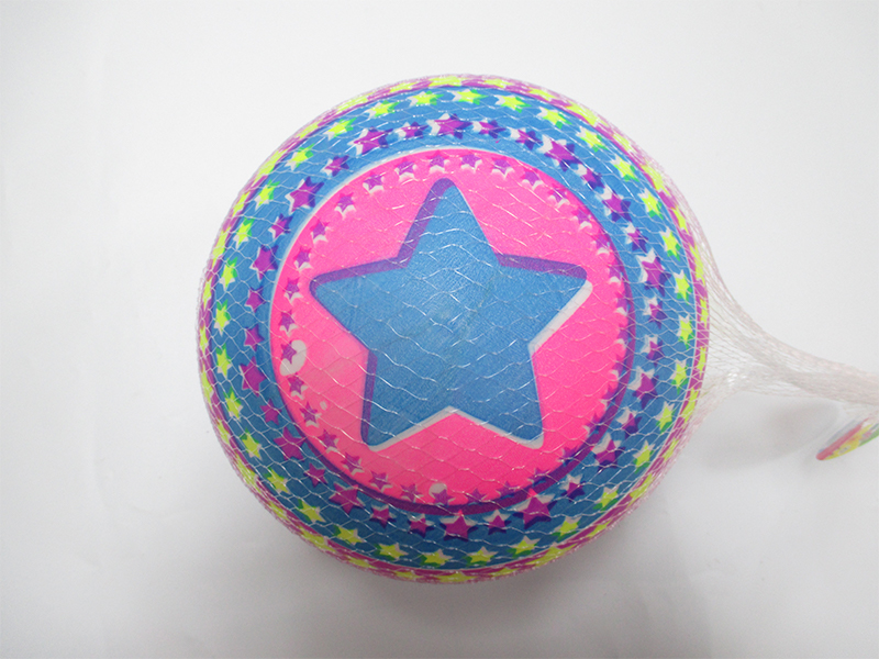 9 Inch Colorful Ball Toy
