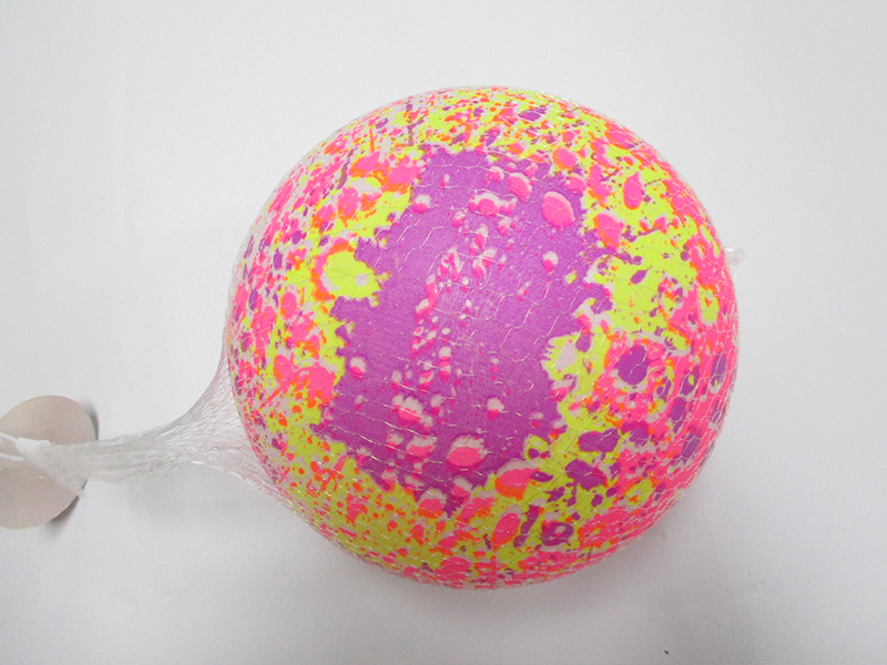 9 Inch Colorful Ball Toy