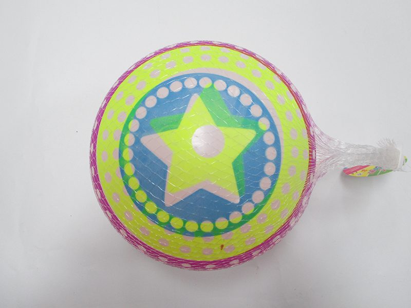 9 Inch Colorful Ball Toy