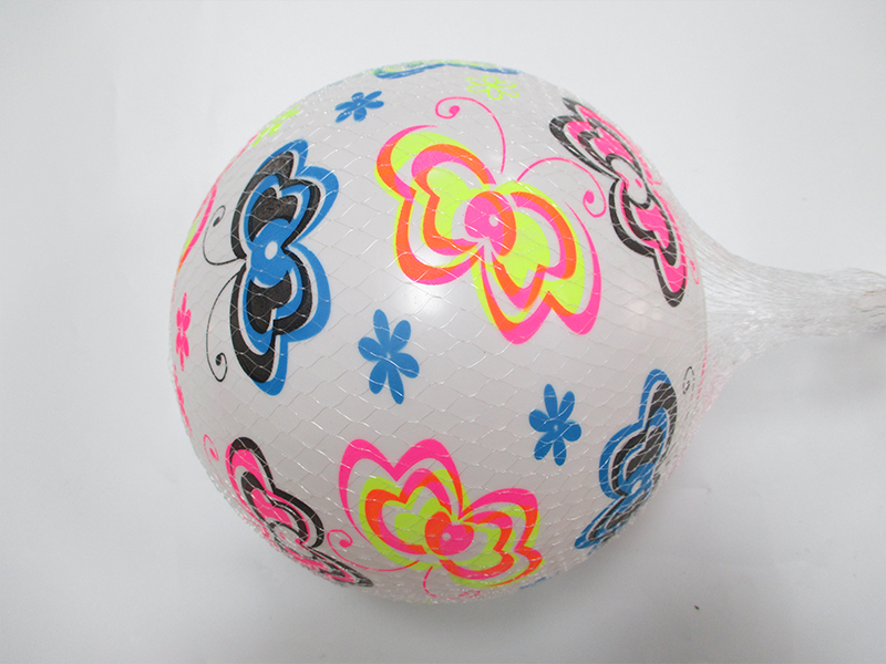 9 Inch Colorful Ball Toy