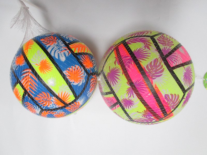 9 Inch Colorful Ball Toy