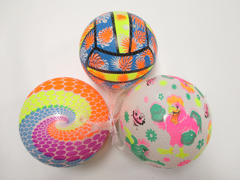 9 Inch Colorful Ball Toy