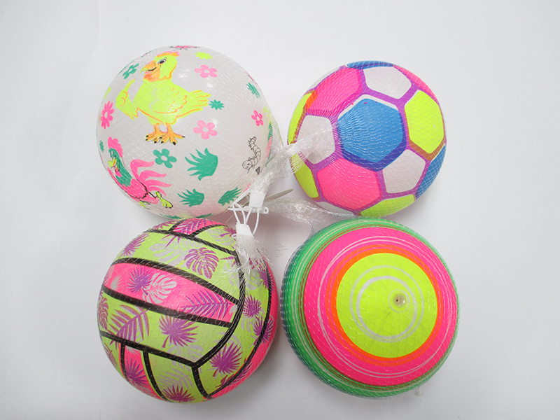 9 Inch Colorful Ball Toy