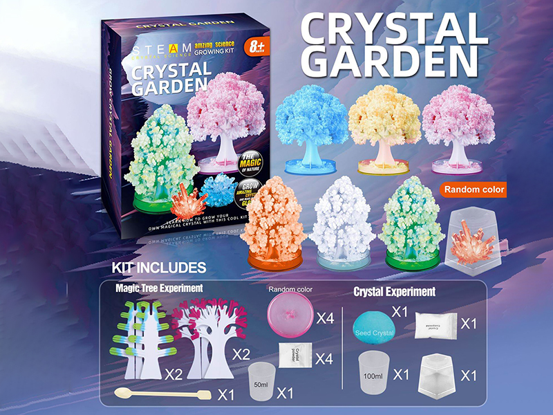 Magic Tree And Crystal Growing Experiment(4 Trees,1 Seed Crystal)